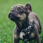 Profile Picture of Beaux Busby (@beauxbuzz) on Instagram