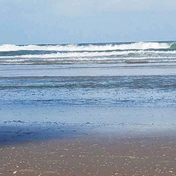 Profile Picture of Michelle Pyle (@pylem20) on Poshmark