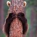 Profile Picture of alex andrew (@blugreen3264) on Pinterest