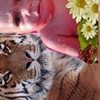 Profile Picture of Beverly Philip (@beverly.philip.92) on Facebook