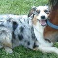 Profile Picture of Maureen Larsen (@kramer5) on Pinterest