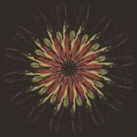 Profile Picture of daniel leszczynski (@leszczynski943) on Instagram