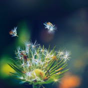 Profile Picture of Mohamad Khalil (@mohamadkhalil372) on Youtube