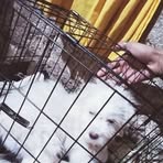 Profile Picture of James Beneto (@James-Beneto) on Facebook