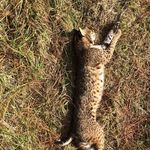 Profile Picture of Jeromy (@jeromybrinkman03) on Instagram