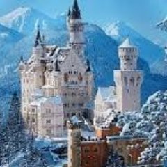 Profile Picture of Perla Simon (@p4231) on Twitter