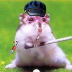 Profile Picture of Paul Botros (@paul.botros) on Instagram