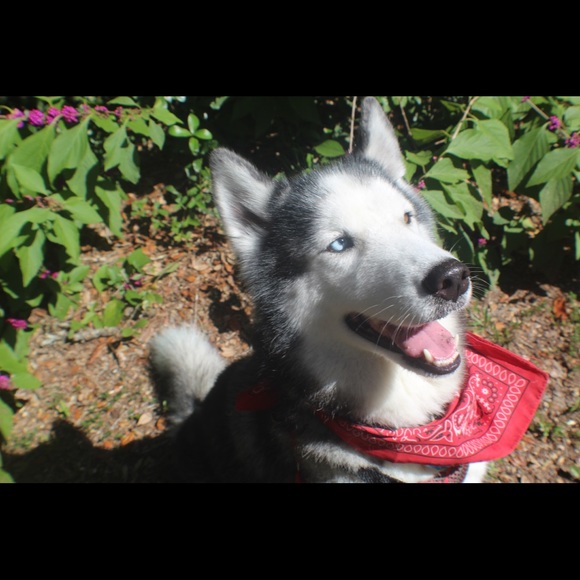 Profile Picture of Marley Methvin (@marleymethvin) on Poshmark