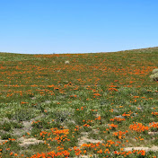 Profile Picture of IMANI James (@imanijames7681) on Youtube