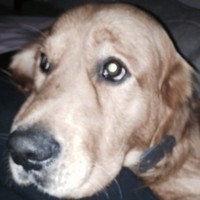 Profile Picture of Toby Goss (@toby-goss-3) on Quora