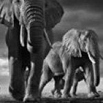 Profile Picture of Guillermo Tello (@guille_tel) on Instagram