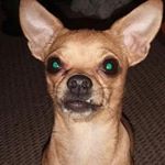 Profile Picture of Tiah Hurkes (@tiahhurkes) on Instagram