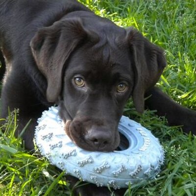 Profile Picture of Carlie Jean Arnot (@carliejeanarnot) on Twitter