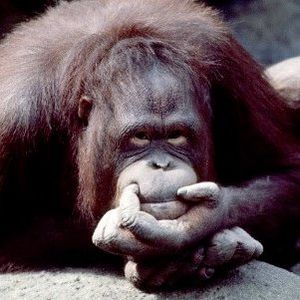 Profile Picture of Jeram (@1jeram1) on Myspace