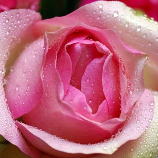 Profile Picture of Hecker Jack (@hecker.jack) on Facebook