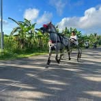 Alvin Gamboa - Facebook Profile Picture of Alvin Gamboa (@Alvin-Gamboa) on Facebook