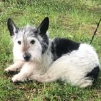 Profile Picture of Phoebe Hudson (@Phoebe-Hudson) on Facebook