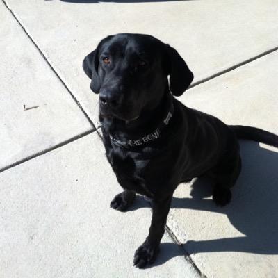 Profile Picture of Ken Essig (@EssigKen) on Twitter