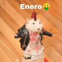 Profile Picture of danielpisso (@danielpisso199) on Tiktok