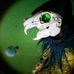 Profile Picture of Brian Brisop (@brian.brisop.1) on Facebook