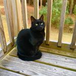 Profile Picture of Cassandra (Sandy) Truan (@spidermommy) on Instagram