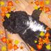 Profile Picture of Luz Cintron (@luz.cintron.944) on Facebook