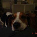 Profile Picture of Jessica Hammatt (@justhammatt) on Instagram