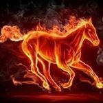 Profile Picture of Inam Ul Haq (@inamulhaq47) on Instagram