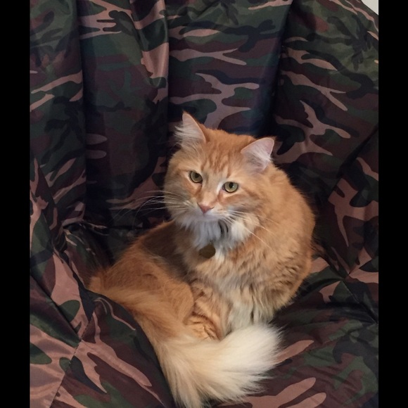 Profile Picture of B Eschenauer (@eschen45) on Poshmark