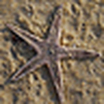 Profile Picture of Derseher (@derseher) on Flickr