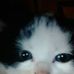 Profile Picture of Annabelle Harrison (@annabelle.harrison.581) on Facebook