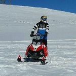 Profile Picture of Peter Diorio (@diorio64) on Instagram