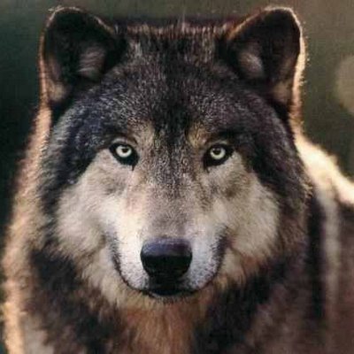 Profile Picture of Brandon Clouse (@BClouse5) on Twitter