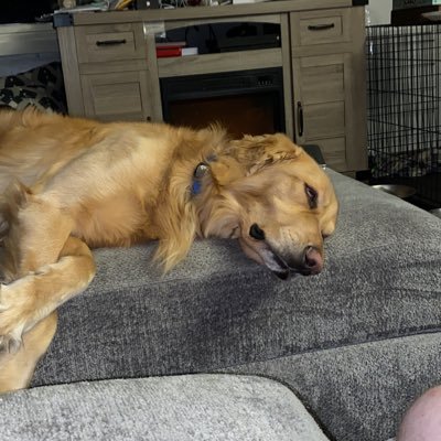 Profile Picture of Robert Malmgren (@RobertMalmgren3) on Twitter