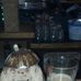 Profile Picture of Herman Hardshell (@herman.hardshell) on Facebook