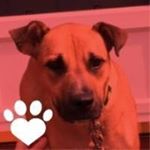 Profile Picture of Lisa Lea Swanson (@llswansong) on Instagram