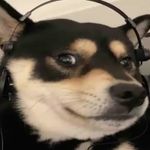 Profile Picture of LorenzoッNub (@jeffy_was_taken) on Instagram