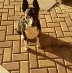 Profile Picture of Mark Koos (@mark.koos.98) on Facebook