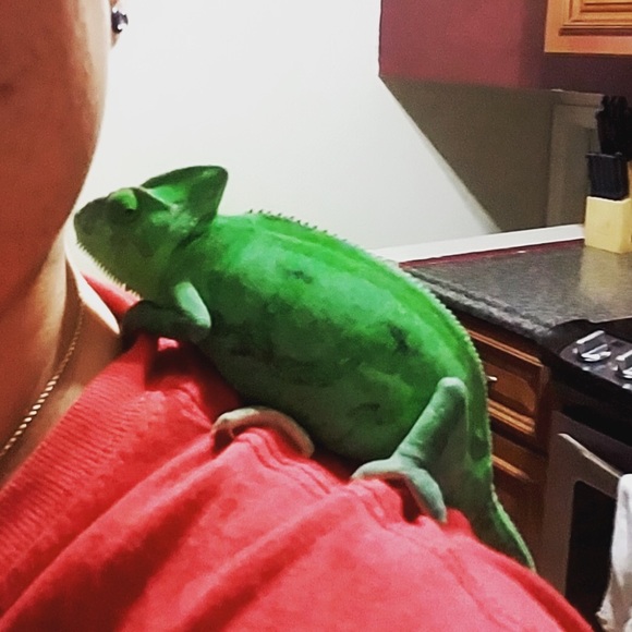 Profile Picture of Erika Carrasco (@raelegend) on Poshmark