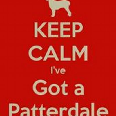 Profile Picture of Steve Reaume (@Steveobaldy) on Twitter