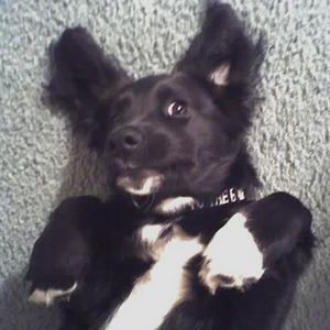 Profile Picture of Linda Susan Hodges Yates (@sueyates) on Myspace