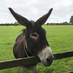 Profile Picture of Paul Sylva (@pauljsylva) on Instagram