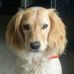 Profile Picture of Keith Buesing (@keith.buesing) on Facebook