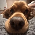 Profile Picture of Joshua Ciulla (@Joshua-Ciulla) on Facebook