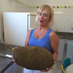 Profile Picture of Sherry Faller (@fallersherry) on Instagram