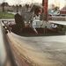 Profile Picture of David Macaluso (@davidm5893) on Pinterest