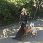 Profile Picture of mr.buddybean (@mr.buddybean) on Instagram