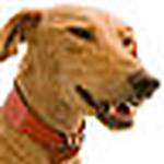 Profile Picture of Mark Haskins (@Mark Haskins) on Flickr