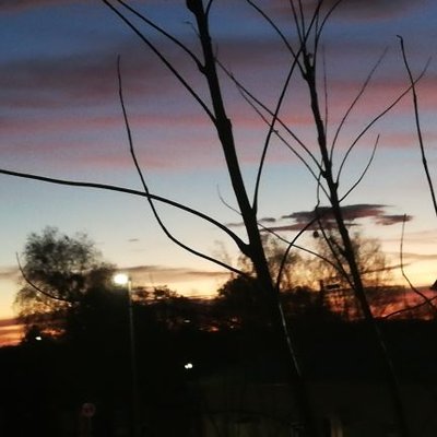 Mandy Hempel - Twitter Profile Picture of Mandy Hempel (@MandyHempel) on Twitter