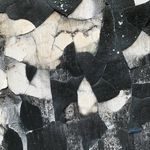 Profile Picture of Daniel Kent (@ikhoor) on Instagram